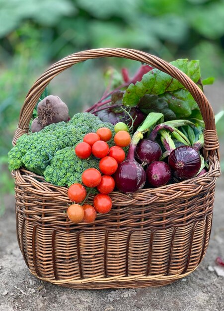 cesto di verdure fresche e biologiche