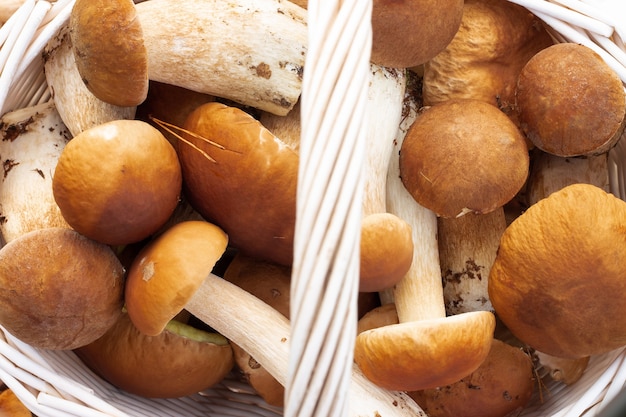 Cesto di vimini bianco con funghi porcini.