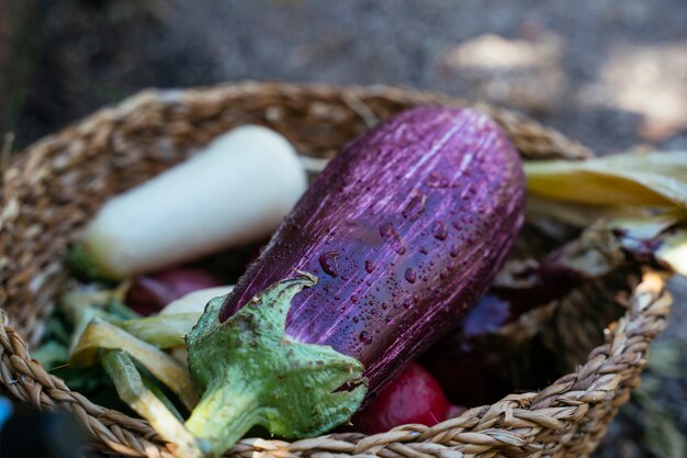 Cesto di vimini con verdure fresche