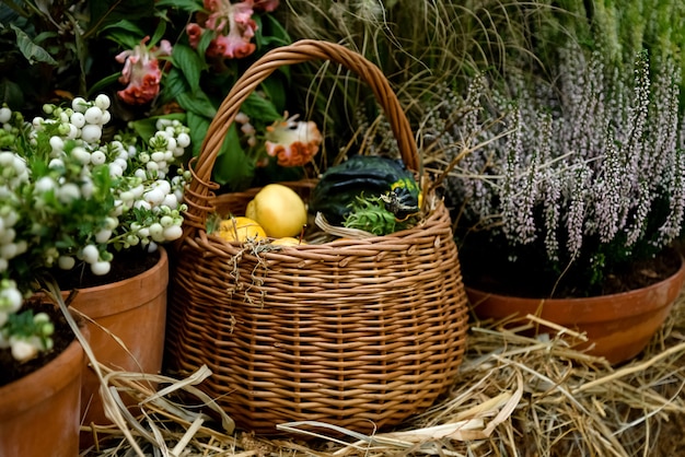 Cesto di vimini pieno di verdure raccolte tra eriche in fiore in vaso