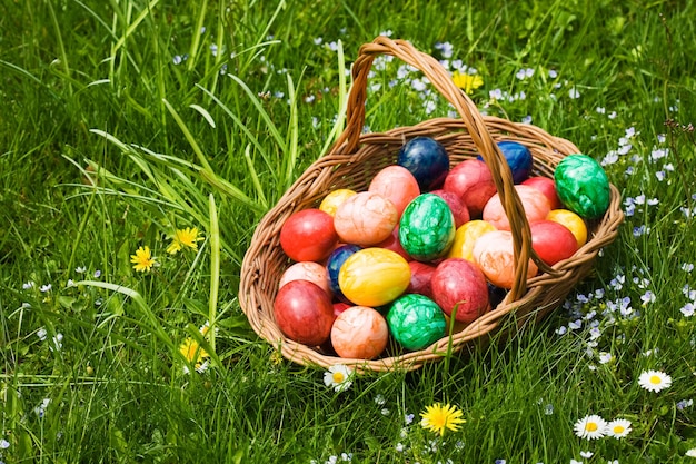 Cesto pieno di uova di Pasqua in erba