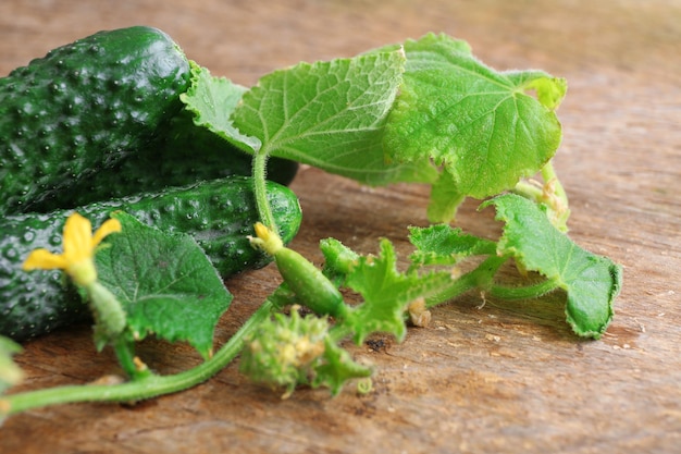 Cetrioli con foglie su sfondo di legno da vicino