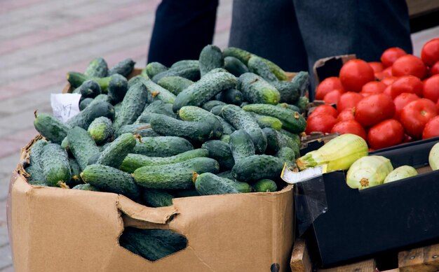 Cetrioli e pomodori in una scatola