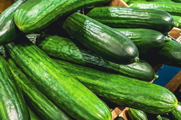 Cetrioli freschi e succosi che vendono verdure verdi e succose al supermercato