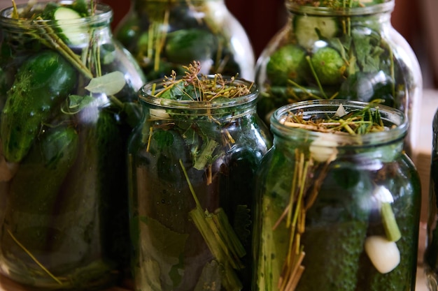 Cetrioli marinati in barattoli conservati per l'inverno Conserve fatte in casa cibi fermentati sottaceti verdure in salamoia