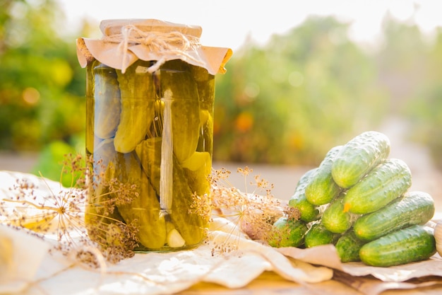 Cetrioli sottaceto salati in un barattolo su un tavolo di legno in giardino Erbe di cetrioli aneto aglio Conservazione Conservazione Spazio copia sfondo Giornata soleggiata e luminosa