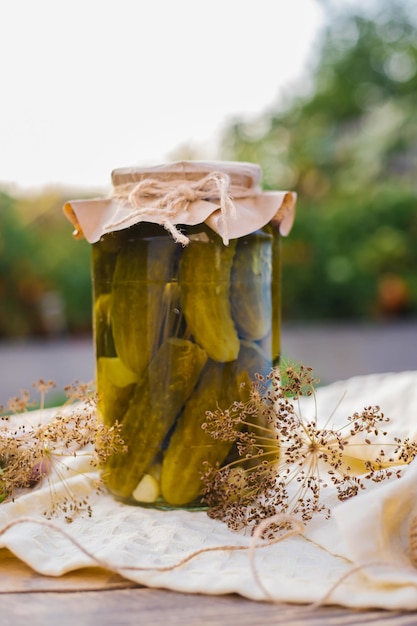 Cetrioli sottaceto salati in un barattolo su un tavolo di legno in giardino Erbe di cetrioli aneto aglio Conservazione Conservazione Spazio copia sfondo Giornata soleggiata e luminosa