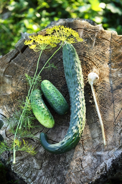 Cetriolo con aglio e aneto