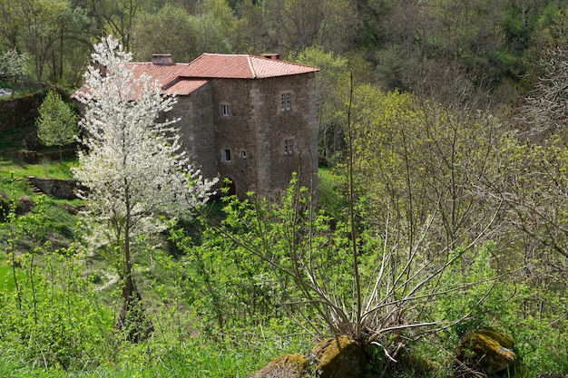 Chalanconhaute loirefrance