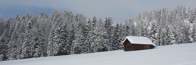 Chalet in Val di Fassa