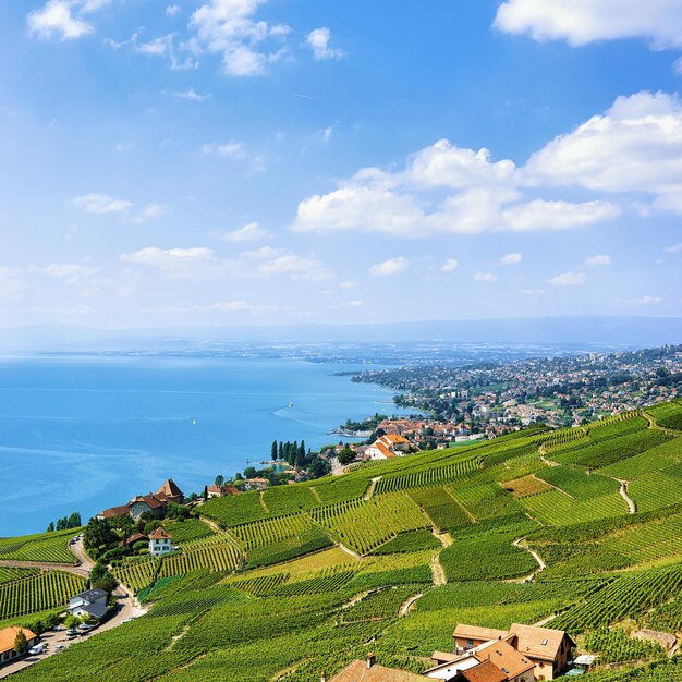 Chalet svizzeri vicino a Lavaux Vineyard Terraces sentiero escursionistico, Lago di Ginevra e montagne svizzere, distretto di Lavaux-Oron in Svizzera