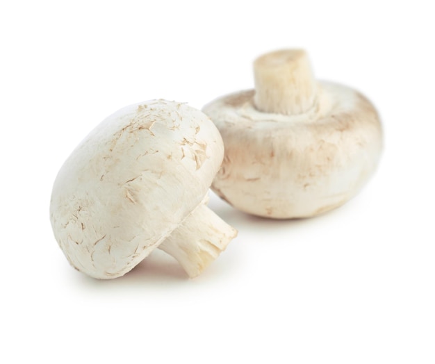 Champignon isolati