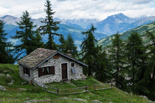 Chantelleparc du grand paradisval d'aosteitaly