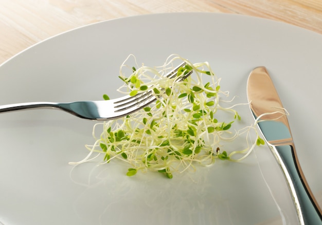 che mangia i germogli di trifoglio con una forchetta nel ristorante. Semi di ortaggi germogliati per alimenti dietetici crudi, micro concetto di mangia sano verde