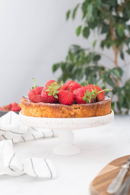 Cheesecake con fragole su supporto su sfondo chiaro Concetto di dessert