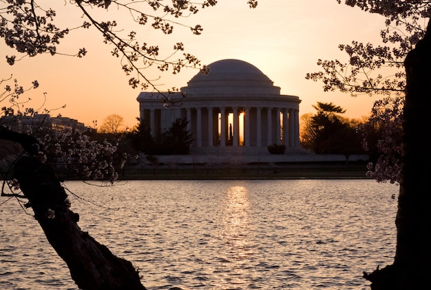 Cherry Blossom e Jefferson Memorial
