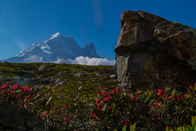 Cheserysargentierechamonixhaute savoiefrance