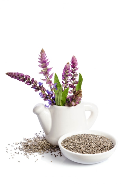 Chia semina superfood sano con il fiore isolato su spazio bianco