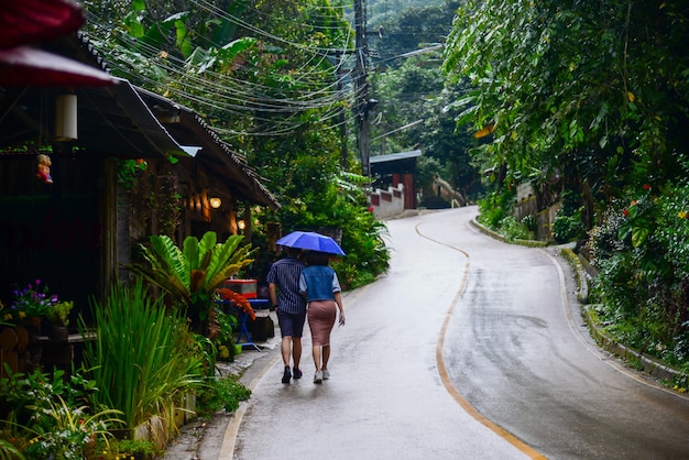 CHIANG MAI THAILANDIA 10 NOVEMBRE 2019 Il villaggio di Ban Mae Kampong è circondato dall'arguzia dell'area forestale