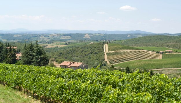 Chianti in Toscana