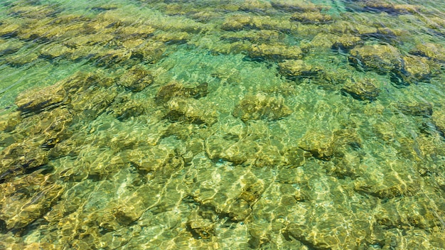 Chiara superficie d&#39;acqua e fondo marino