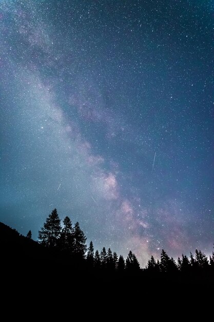 Chiaramente galassia della Via Lattea alla sagoma notturna degli alberi