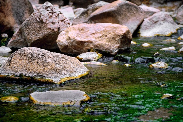 Chiaro fiume con roccia e muschio nella foresta in primavera tempo di stagione.