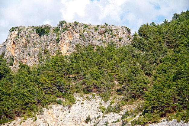 Chiaro paesaggio di montagna