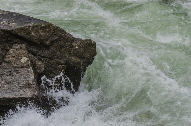 Chiaro torrente selvaggio