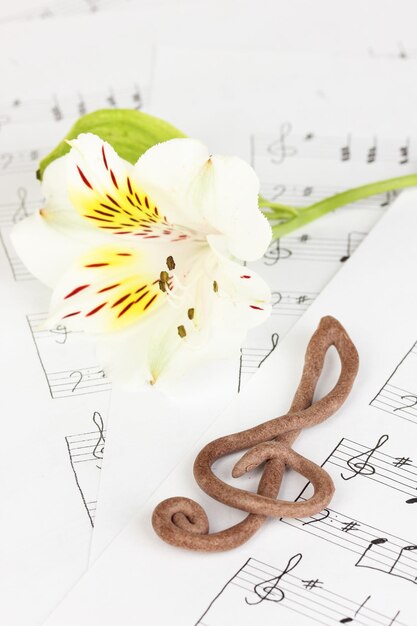 Chiave di violino e fiore su sottofondo musicale