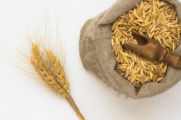 Chicchi di avena nel sacco. Cucchiaio di legno. Orzo ramoscello