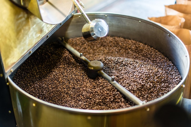 Chicchi di caffè aromatici collocati in attrezzature moderne con refrigeratore di grani. Concetto di industria. Foto d'archivio