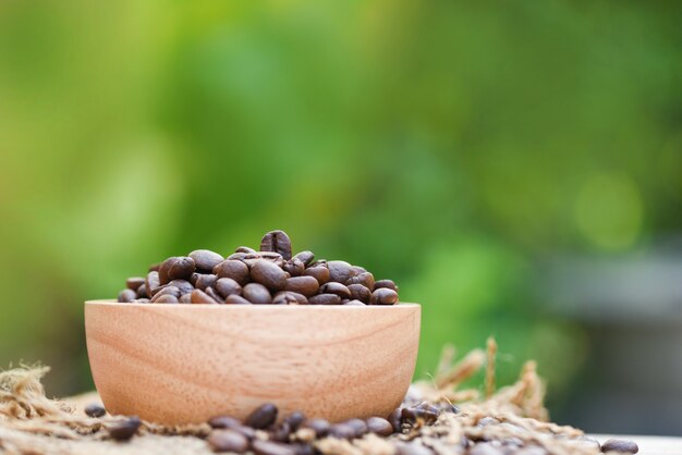 Chicchi di caffè arrostiti sulla ciotola e sul sacco di legno / chicchi di caffè del primo piano su verde della natura