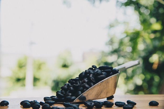 Chicchi di caffè con la paletta sulla tavola