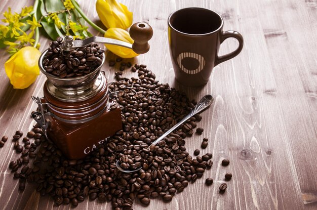 Chicchi di caffè con macinacaffè e tulipani gialli su fondo di legno marrone