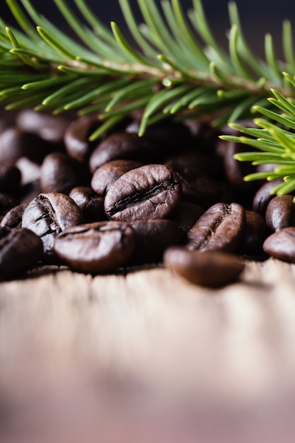 Chicchi di caffè con ramo di abete sulla superficie in legno.