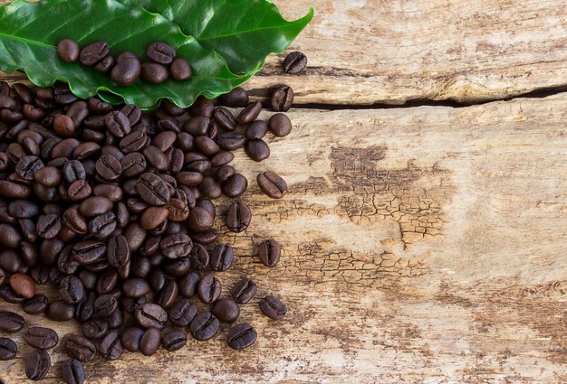 Chicchi di caffè e foglia verde su fondo di legno