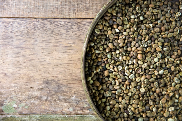 Chicchi di caffè grezzi di Kopi Luwak sull&#39;azienda agricola del caffè