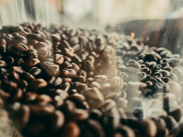 Chicchi di caffè in contenitore di plastica trasparente.