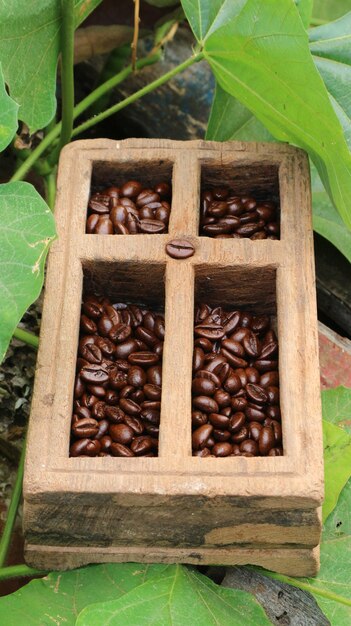 Chicchi di caffè in scatole di legno di teak foglia verde sullo sfondo