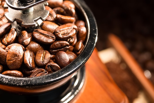 Chicchi di caffè in un coffeemill Close up