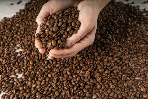 Chicchi di caffè nelle mani. Le mani prendono una manciata di chicchi di caffè dal sacchetto di iuta.