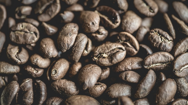 Chicchi di caffè tostati freschi