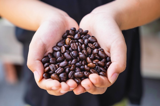 Chicchi di caffè tostati in mano