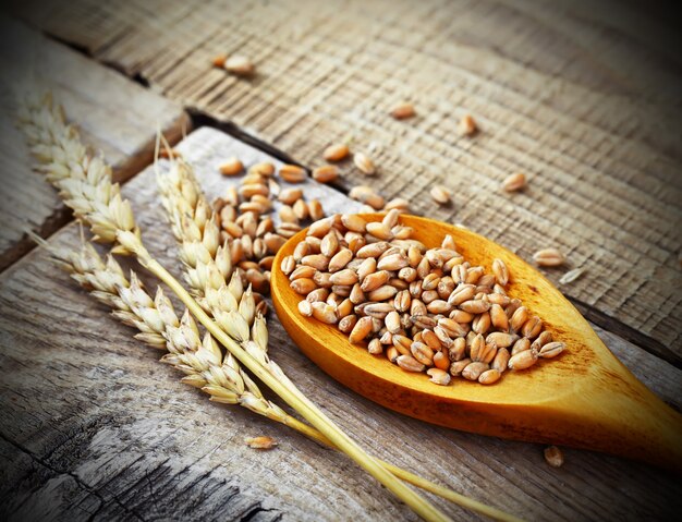 Chicchi di grano con pane sul tavolo