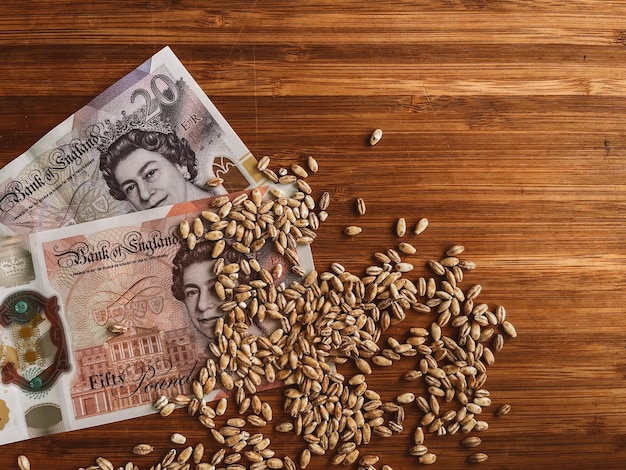 Chicco di grano con il concetto di esportazione di grano di grano denaro