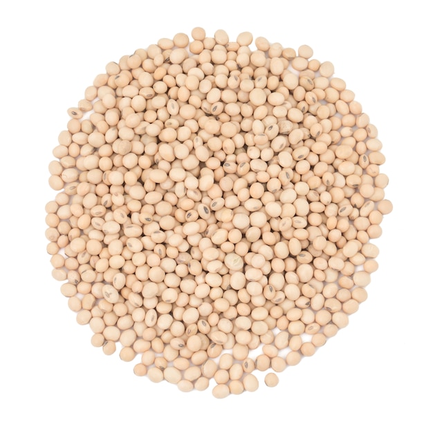 Chick Pea secco