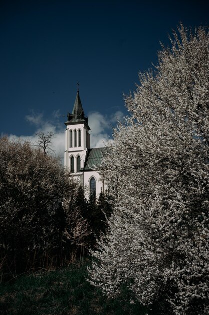 chiesa a Mszana Polonia su uno sfondo di alberi in fiore