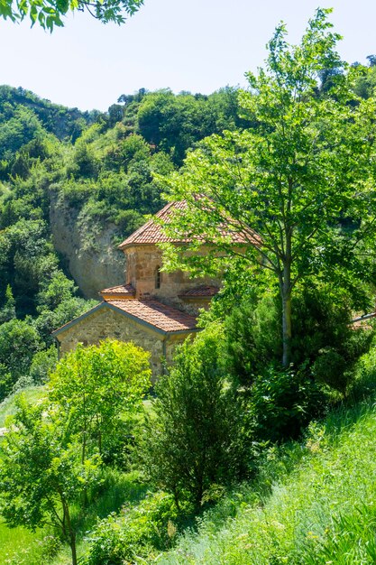 Chiesa con tetto di piastrelle arancione tra gli alberi del monastero di ShioMgvime Cielo blu brillante montagne rocciose con alberi e cespugli sullo sfondo