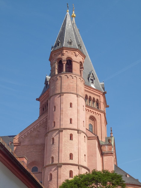 Chiesa della cattedrale di Magonza